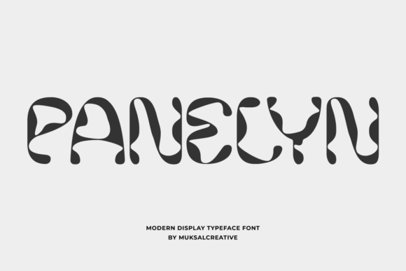 Panelyn: Where Modern Display Meets Classic Elegance
